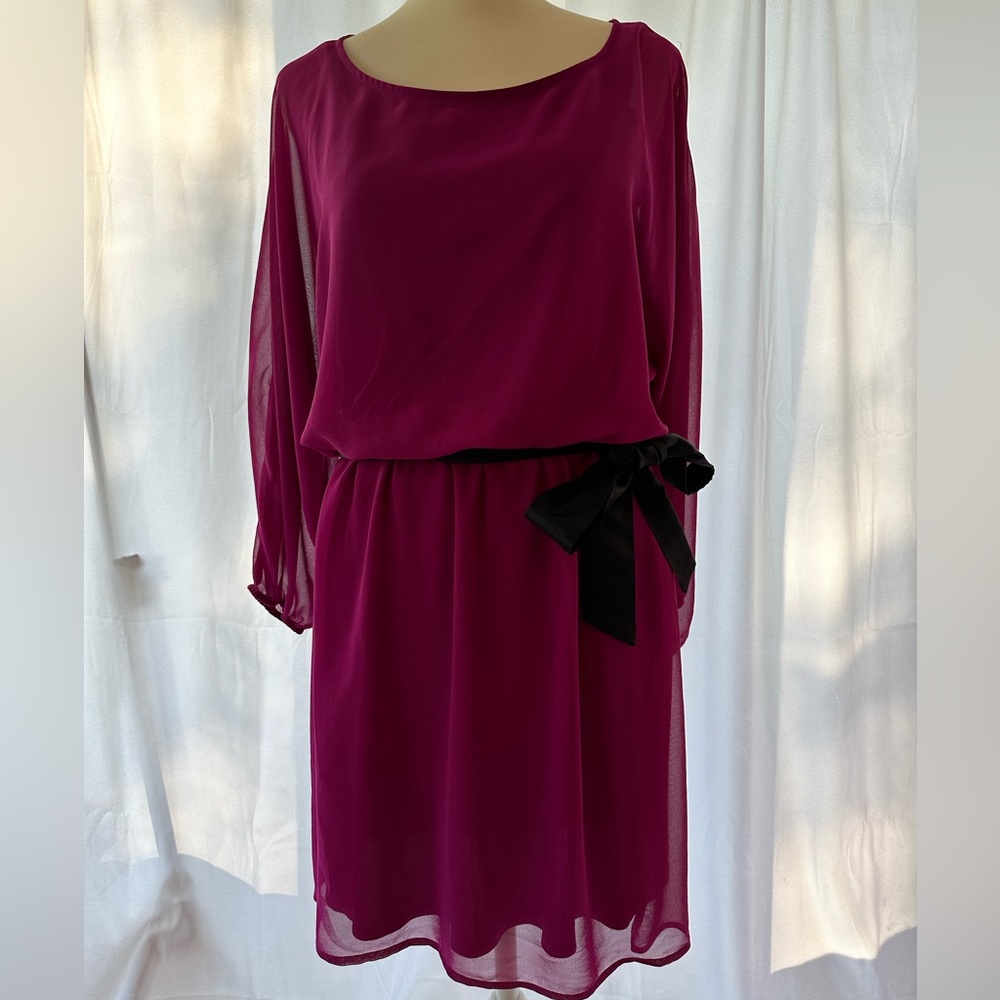 Purple/Pink adorable dress from Express.